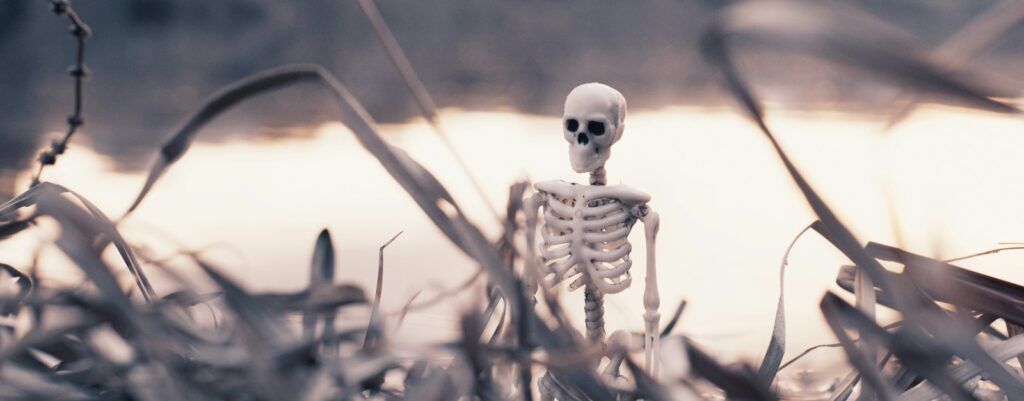 white and black skeleton figurine on brown grass during daytime